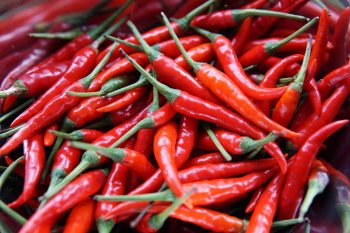 A bundle of red chilli peppers.