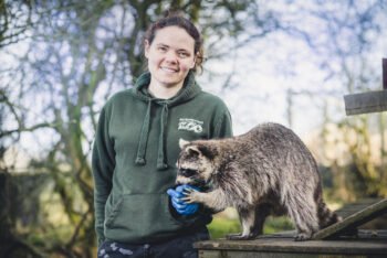 Maxine Bradley with a racoon.